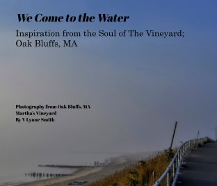 We Come to the Water book cover
