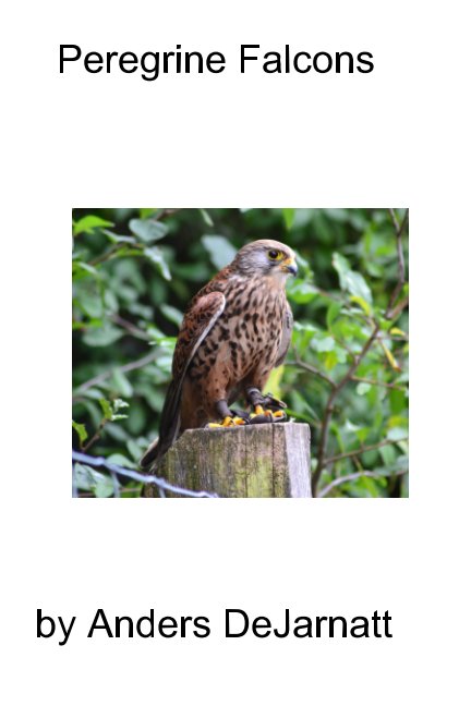Bekijk Peregrine Falcons op Anders Dejarnatt