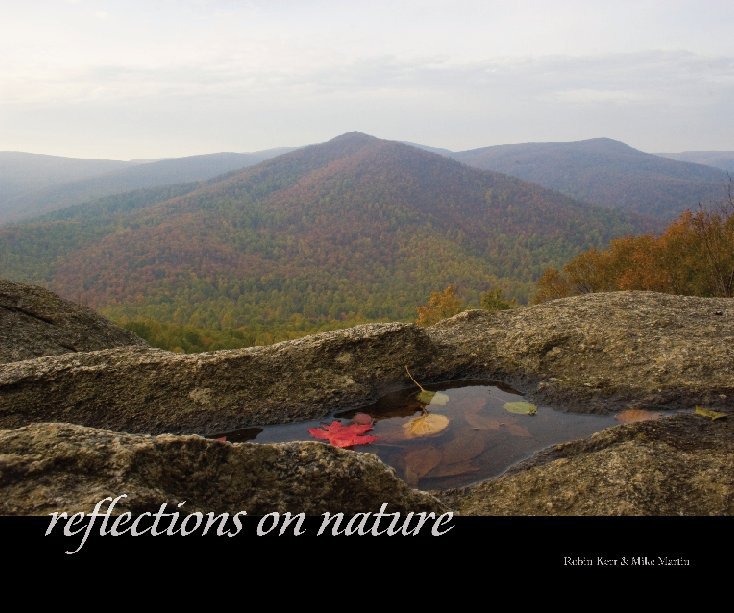 View Reflections on Nature by Robin Kerr & Mike Martin