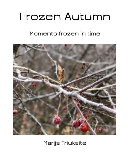 Frozen Autumn book cover