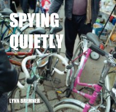 SPYING QUIETLY book cover