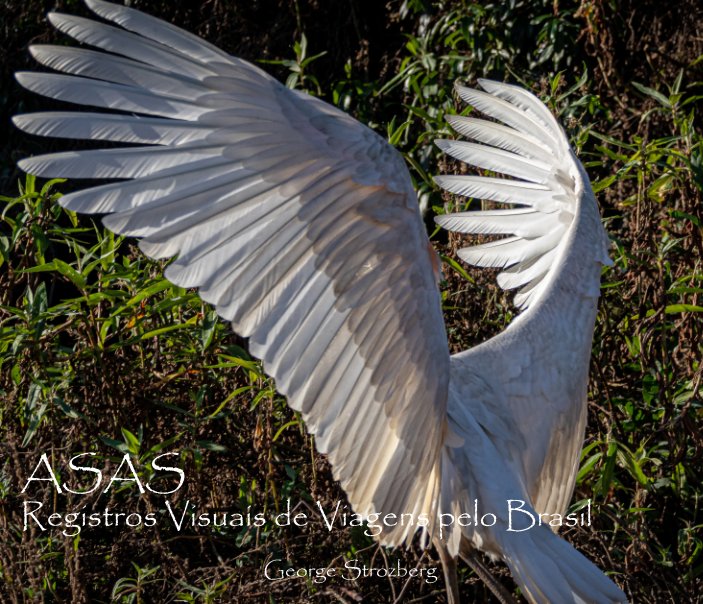 View Asas by George Strozberg