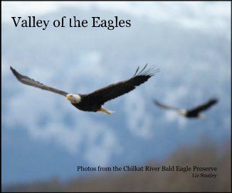Valley of the Eagles book cover
