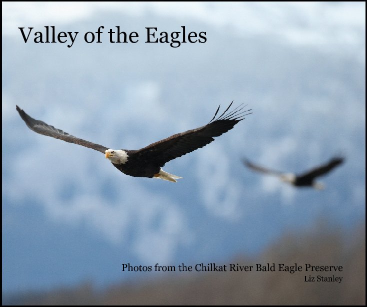 View Valley of the Eagles by Liz Stanley