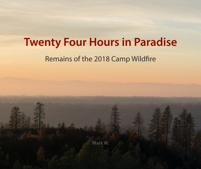 Ver Twenty Four Hours in Paradise por Mark W.