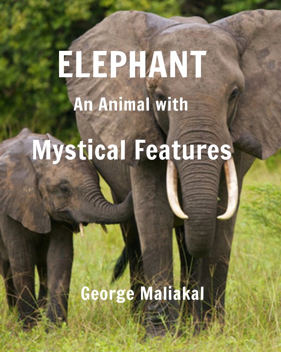 View Elephant - An Animal with Mystical Features by George Maliakal