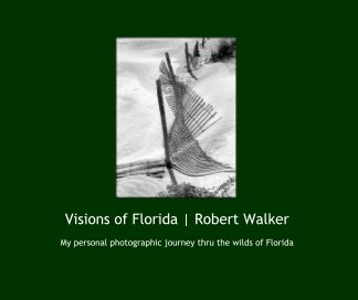 Visions of Florida book cover