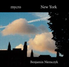 Mycro New York book cover