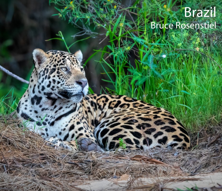 View Brazil 2nd Edition by Bruce Rosenstiel