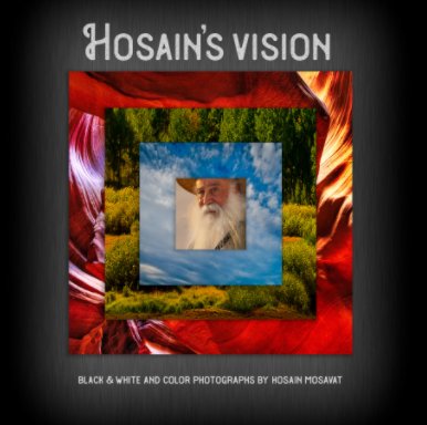 Hosain's Vision book cover