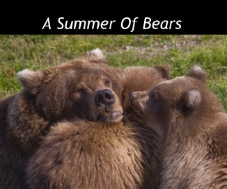 A Summer Of Bears book cover