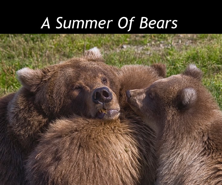 Visualizza A Summer Of Bears di John Castor