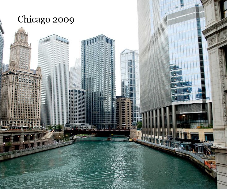 View Chicago 2009 by dizziemr