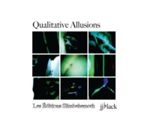 Qualitative Allusions book cover