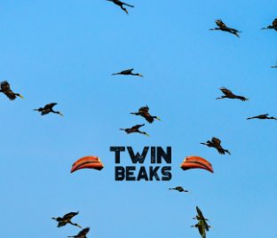 Twin Beaks book cover