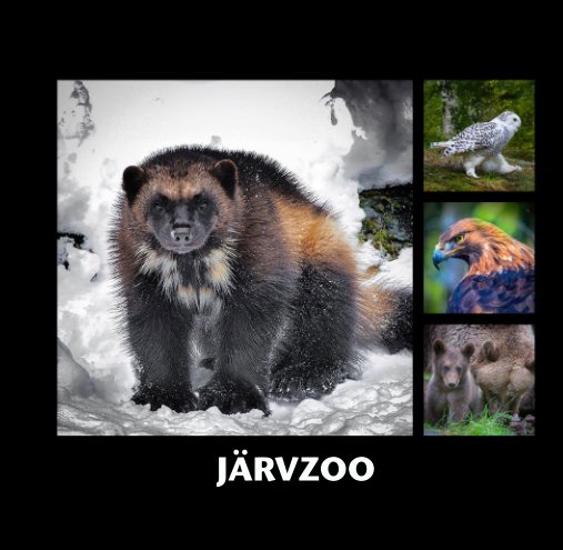 Visualizza Järvzoo di Heimo Fürst