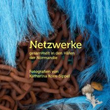 Netzwerke book cover