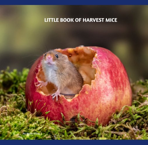 View Little Book of Harvest Mice by Michelle Howell