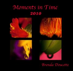 Moments In Time 2010 book cover