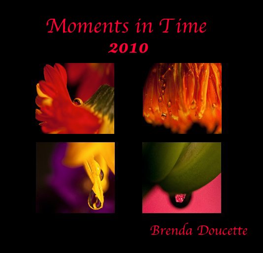View Moments In Time 2010 by Brenda Doucette