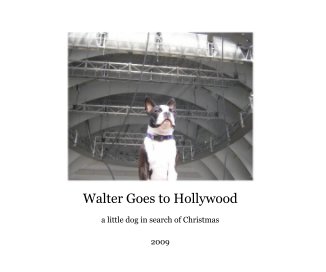 Walter Goes to Hollywood book cover