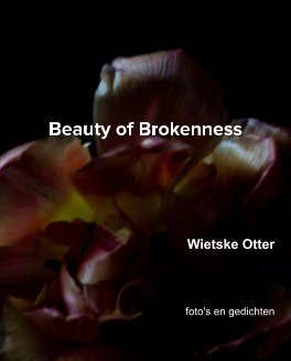 Beauty of Brokenness book cover