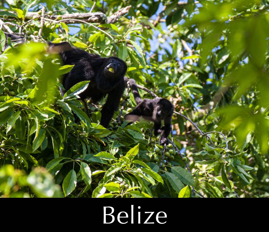 Ver Belize por Brian Davis