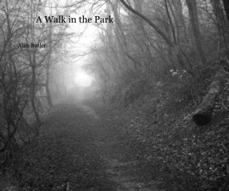 A Walk in the Park book cover