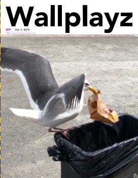 Wallplayz II book cover