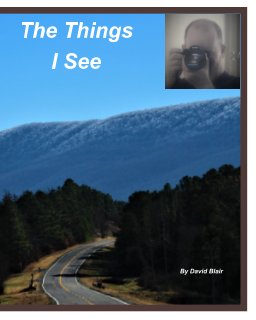 The Things I See book cover