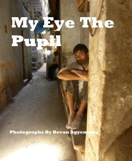 My Eye The Pupil book cover