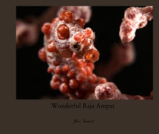 Wonderful Raja Ampat book cover