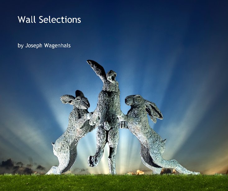 View Wall Selections by Joseph Wagenhals