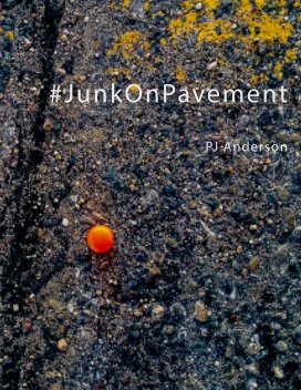#JunkOnPavement book cover