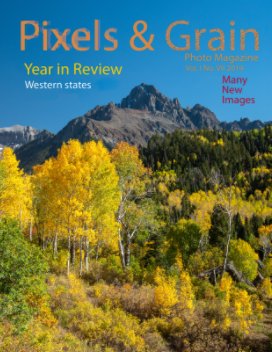 Pixels and Grain Year in Review book cover