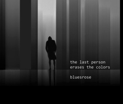 the last person erases the colors book cover