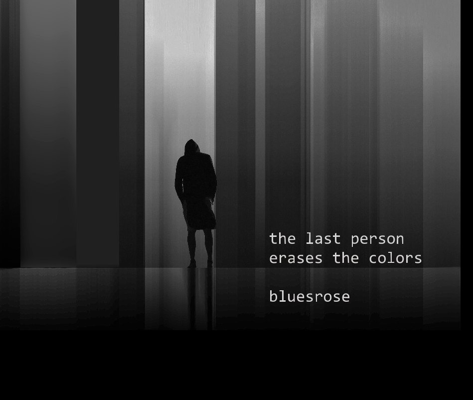 Visualizza the last person erases the colors di Bluesrose