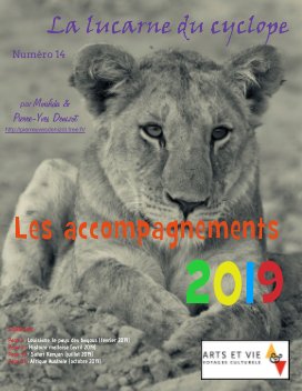 LA LUCARNE DU CYCLOPE - Numéro 14 (Arts et Vie 2019) book cover