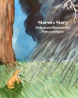 Storm's Story book cover