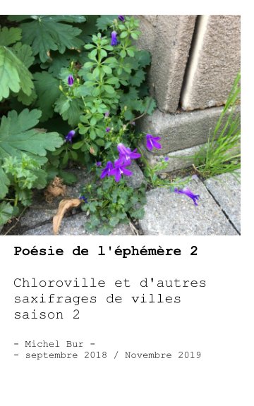 View Chloroville 2 - saxifrages des villes by Michel BUR