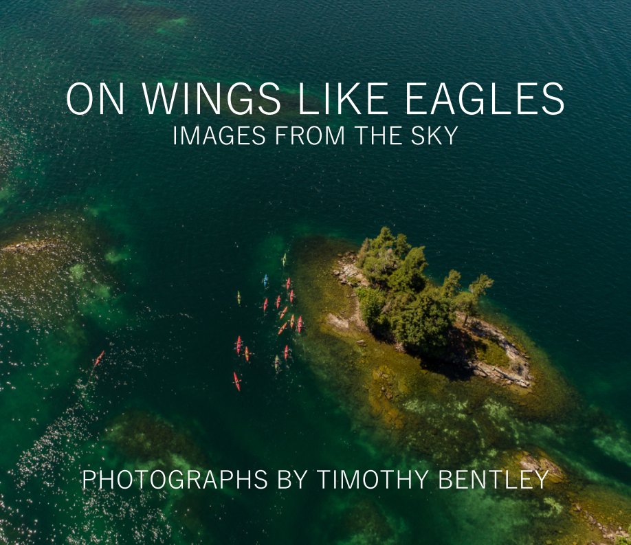 Visualizza On Wings like Eagles di Timothy Bentley