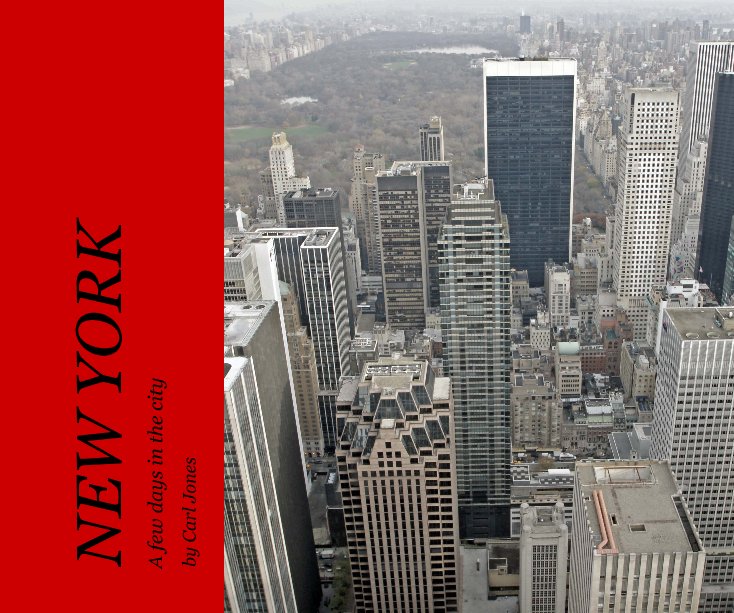 View NEW YORK by Carl Jones