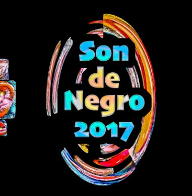 Son de Negro 2017 book cover