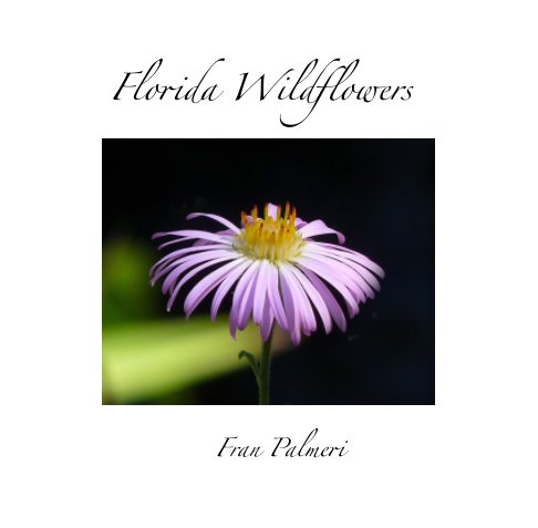 Florida Wildflowers nach Fran Palmeri anzeigen