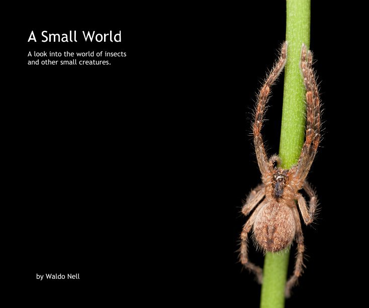 View A Small World by Waldo Nell