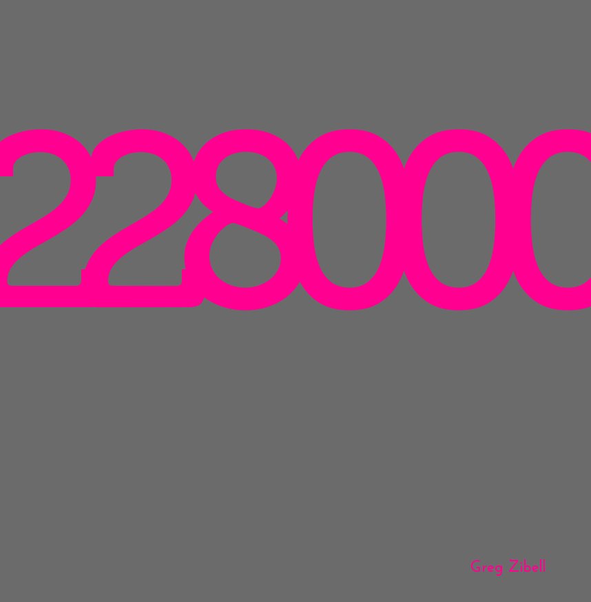 View 228.000 by Greg Zibell