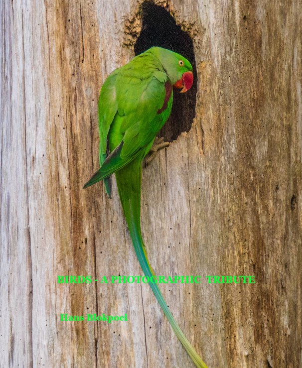 Ver BIRDS - A Photographic Tribute por Hans Blokpoel