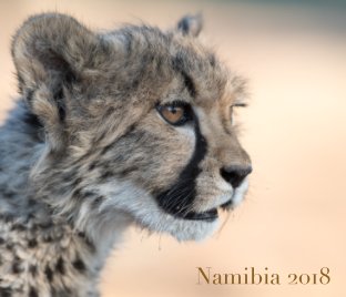 Namibia CCF Tour book cover
