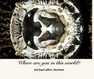 Where are you in this world? book cover