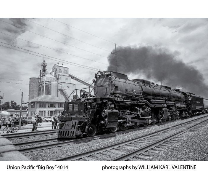 View Union Pacific Big Boy 4014 by William Karl Valentine